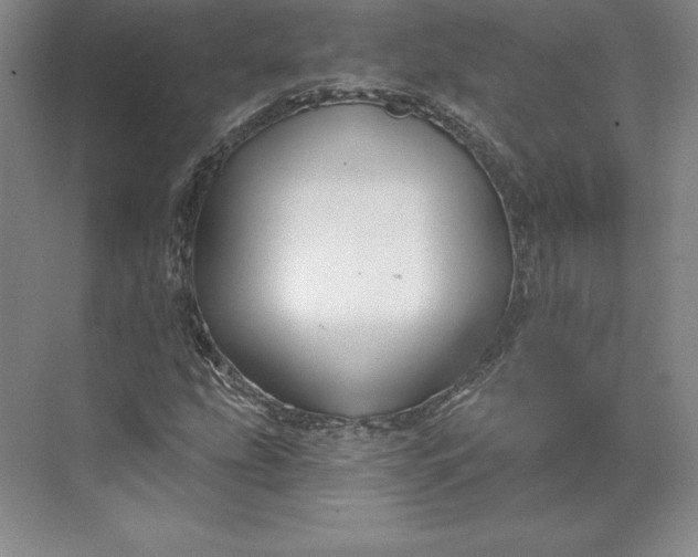 X0000074021207200609061106