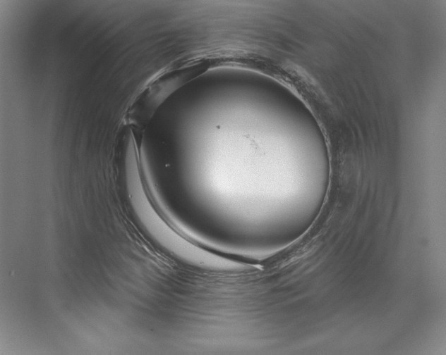 X0000074021210200609061107