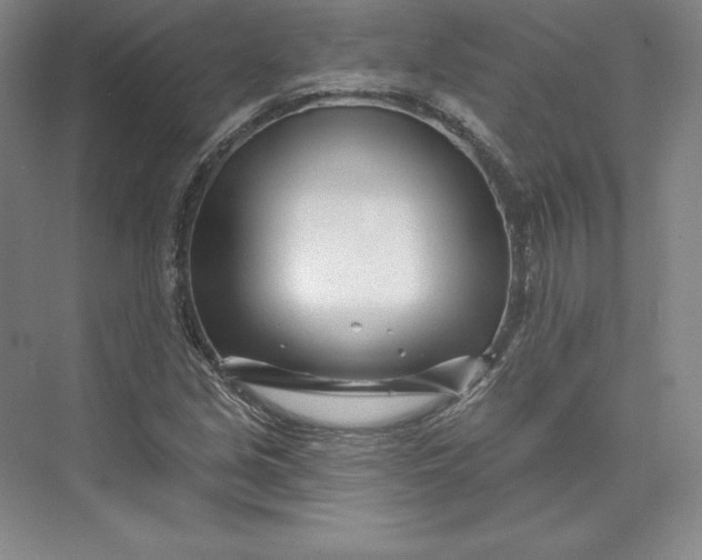 X0000074021213200609061107