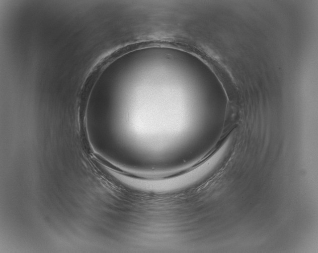 X0000074021214200609061107