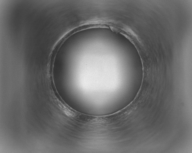 X0000074021216200609061107