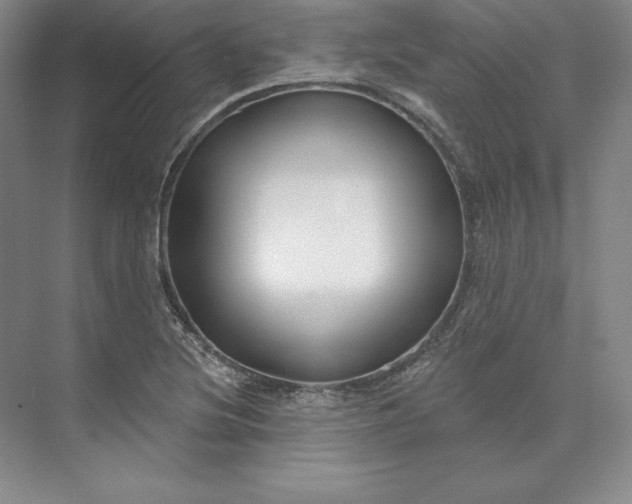 X0000074021220200609061107