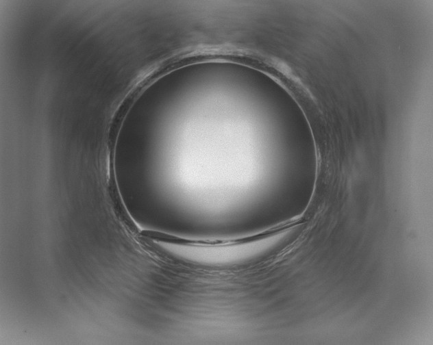 X0000074021221200609061107
