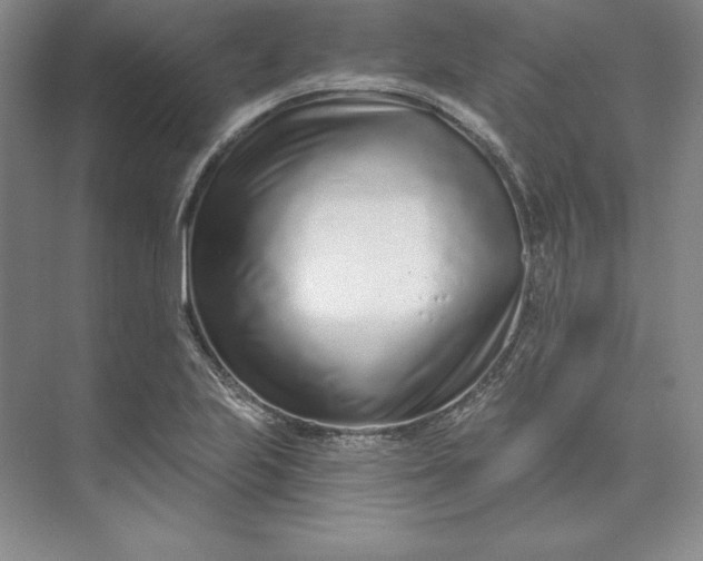 X0000074021223200609061107