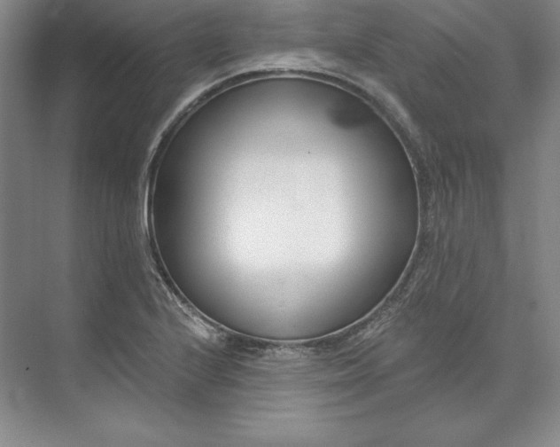 X0000074021224200609061107
