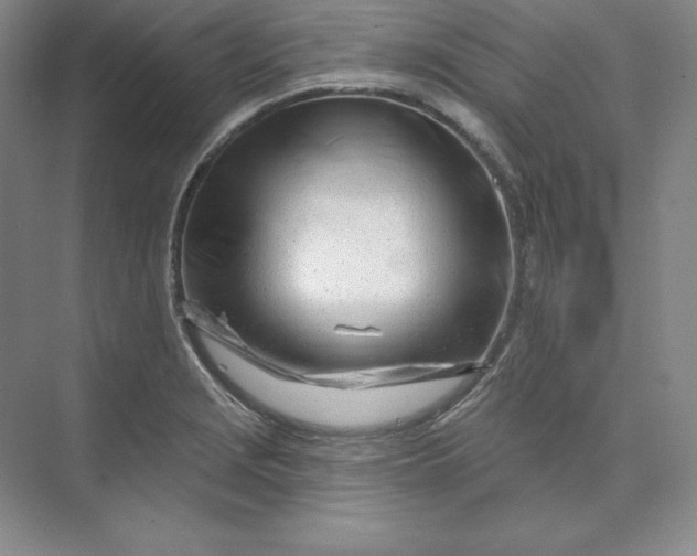 X0000074021229200609061107
