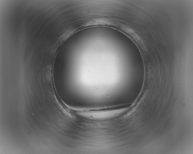 X0000074021233200609061107