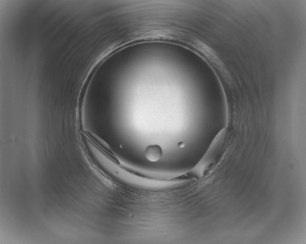 X0000074021234200609061107