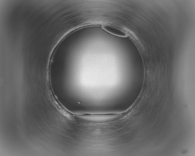 X0000074021236200609061107
