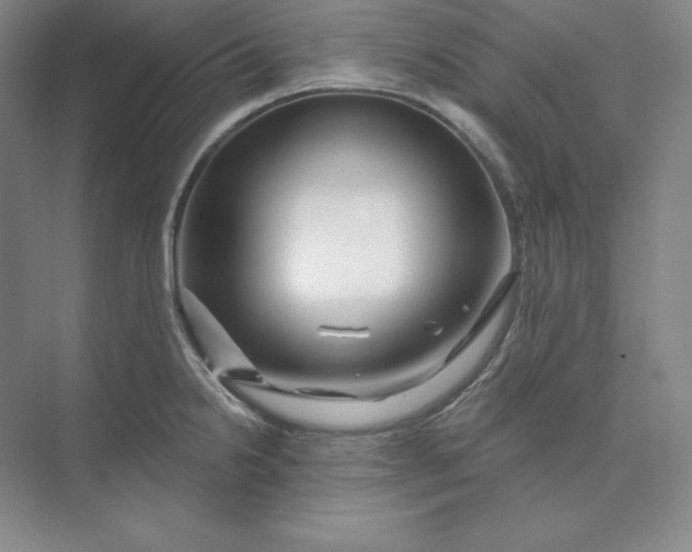X0000074021238200609061107