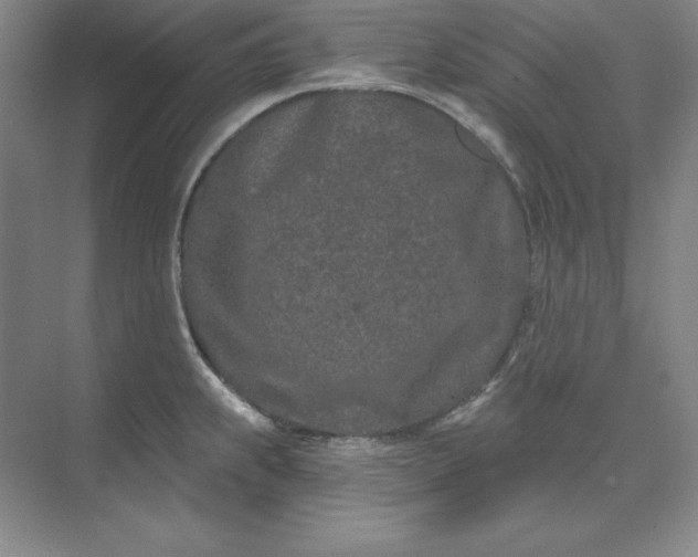 X0000074021239200609061107