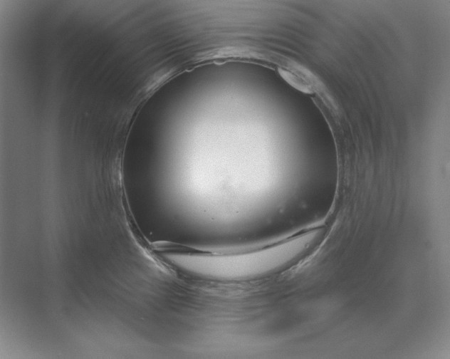 X0000074021241200609061107