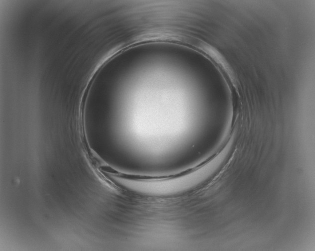 X0000074021242200609061107