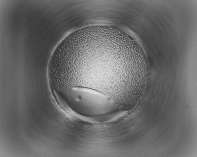 X0000074021243200609061107
