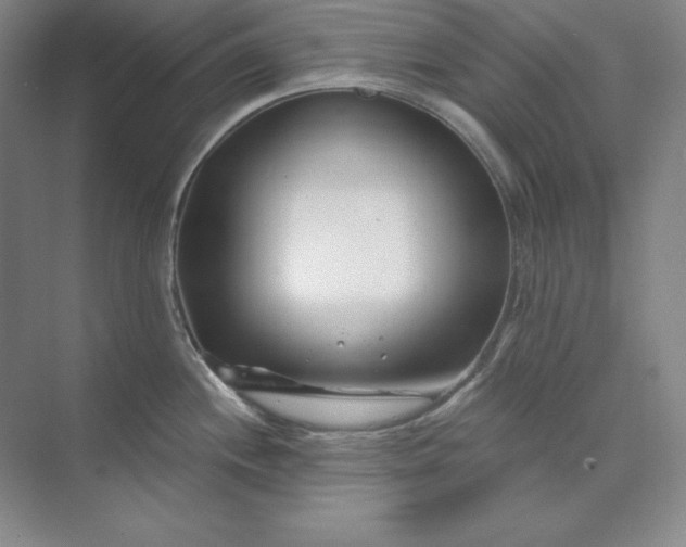 X0000074021244200609061107