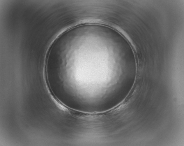 X0000074021245200609061107
