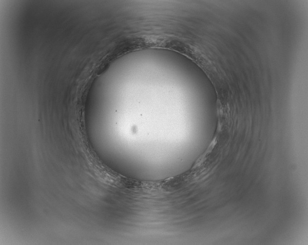 X0000074021249200609061106
