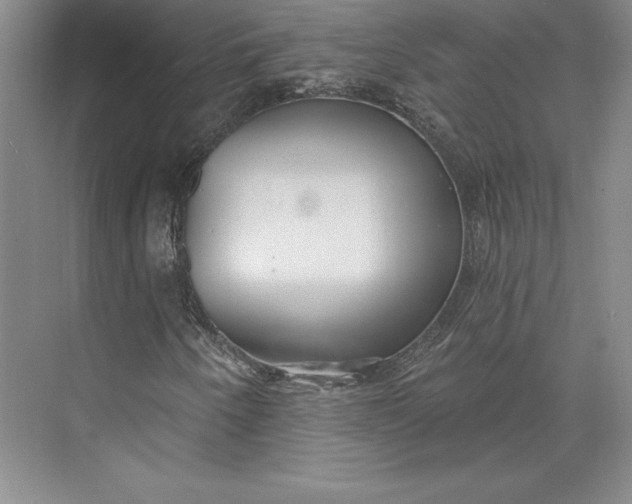 X0000074021250200609061106