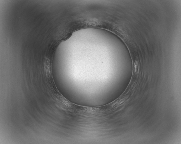 X0000074021251200609061106