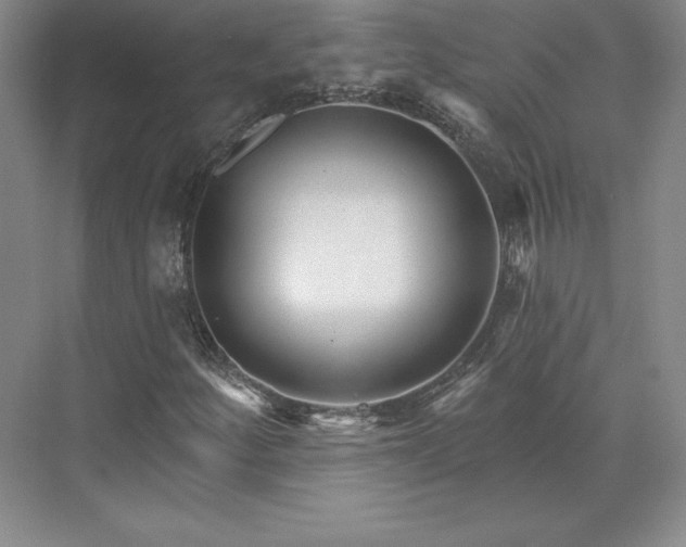 X0000074021252200609061106