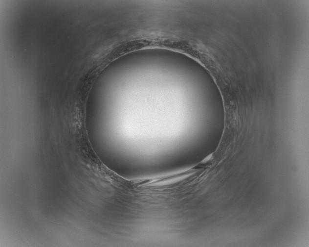 X0000074021253200609061106