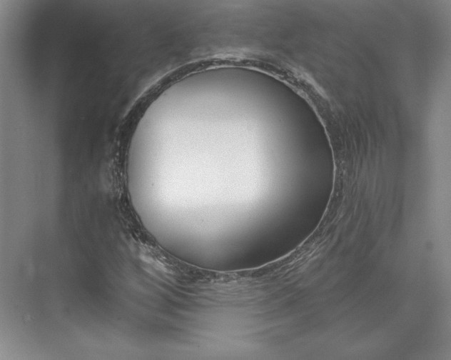 X0000074021256200609061106