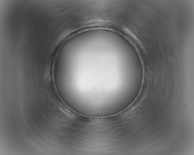 X0000074021259200609061106