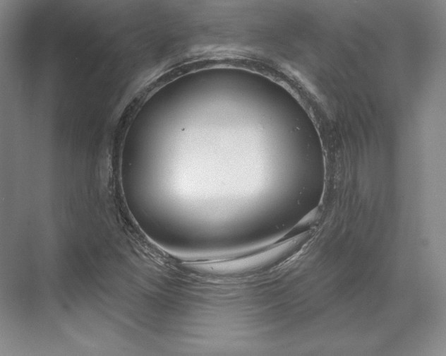 X0000074021261200609061106