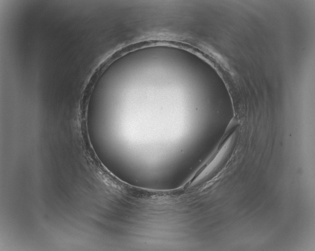 X0000074021264200609061106