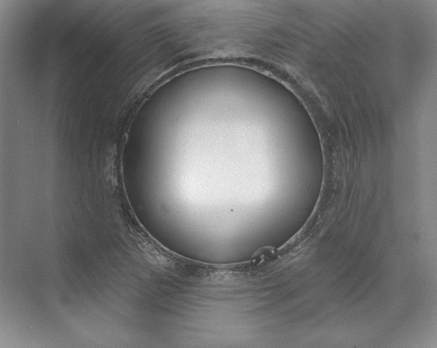X0000074021265200609061106