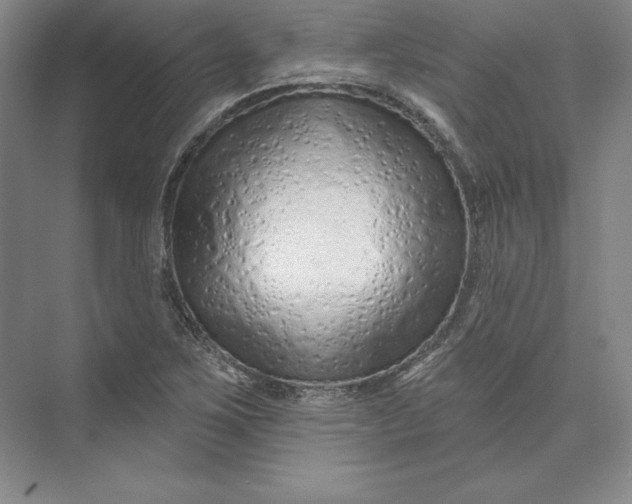 X0000074021267200609061106
