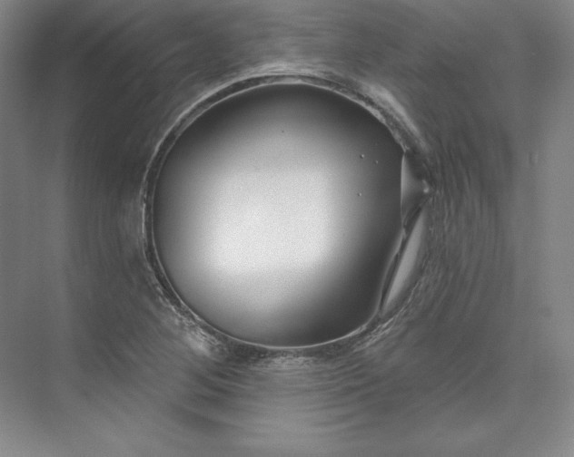 X0000074021268200609061106