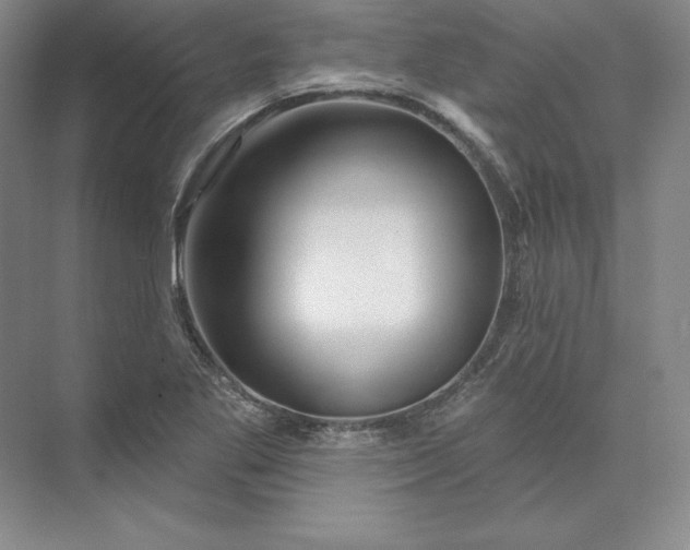 X0000074021269200609061106