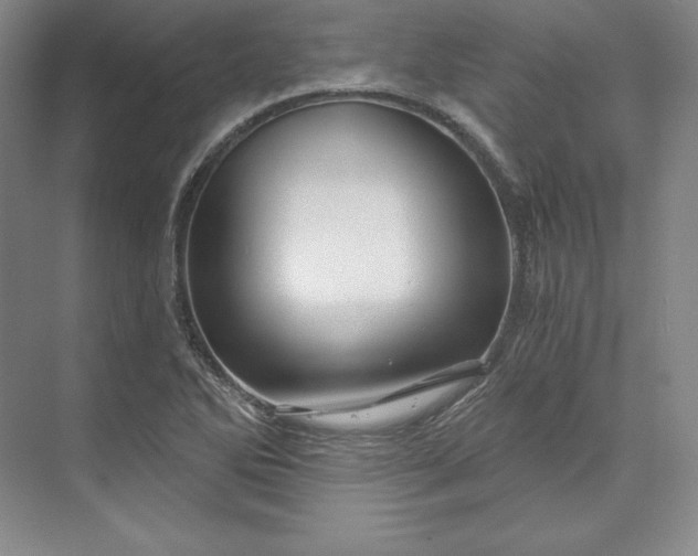 X0000074021270200609061106