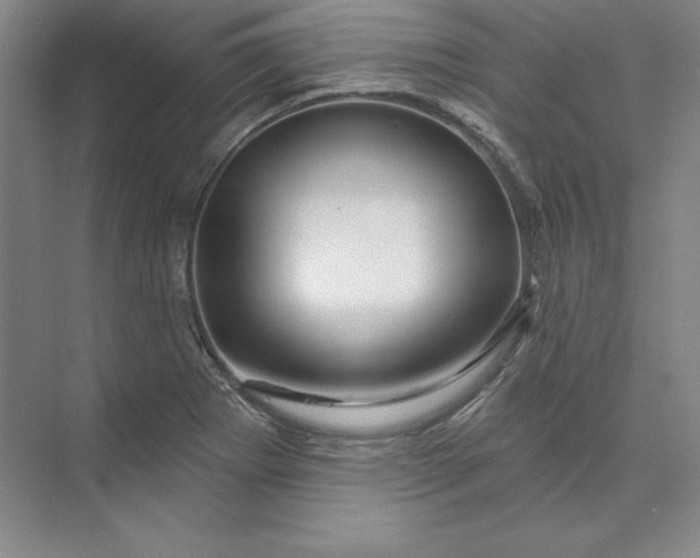 X0000074021273200609061106