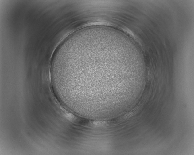 X0000074021274200609061106