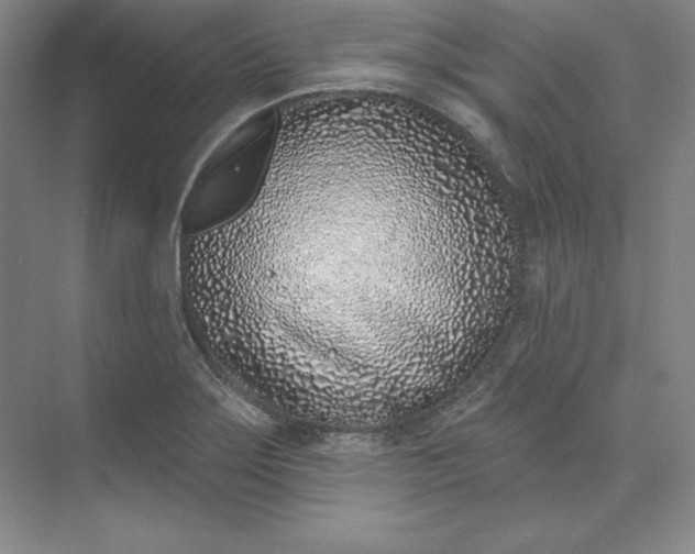 X0000074021275200609061106