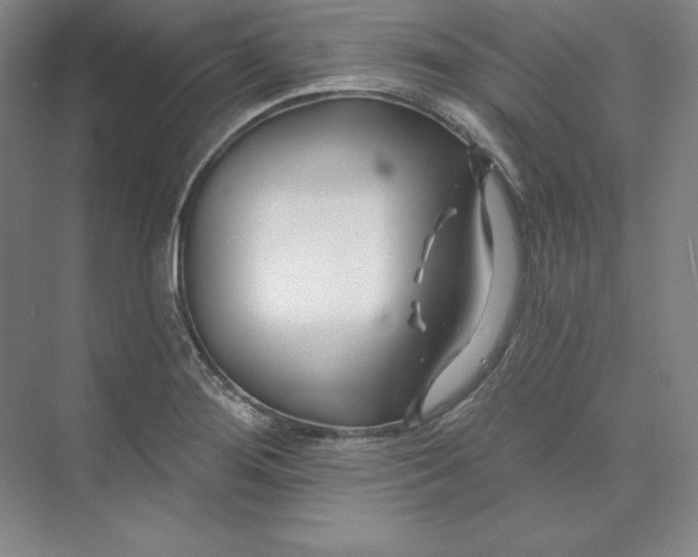 X0000074021276200609061106