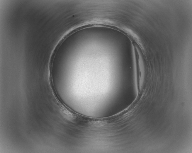 X0000074021280200609061106