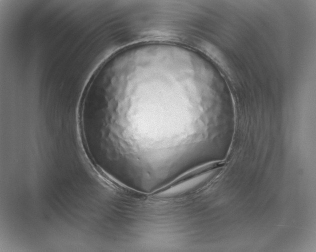 X0000074021283200609061106
