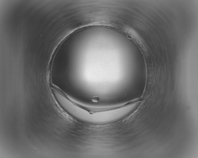 X0000074021284200609061106