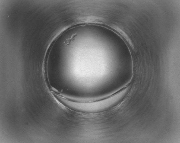 X0000074021285200609061106