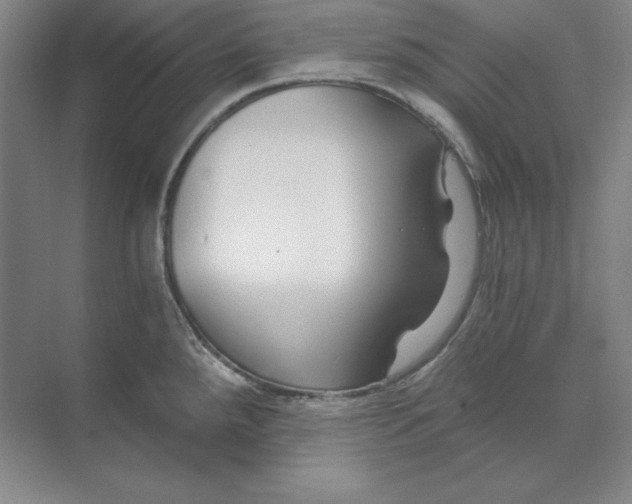 X0000074021288200609061106