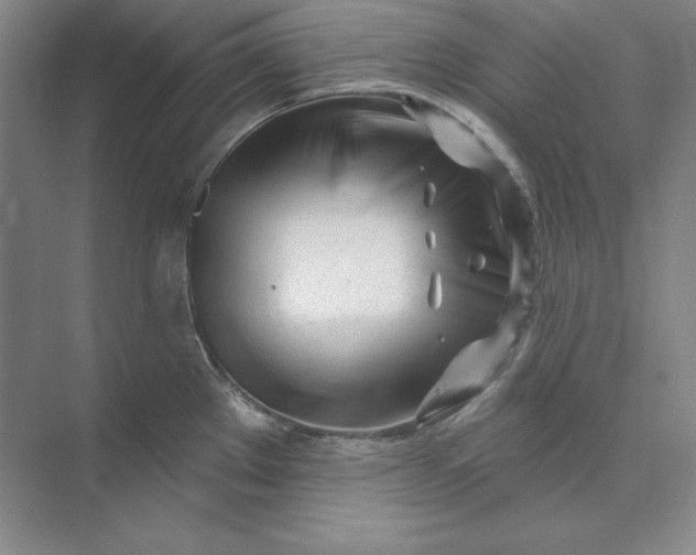 X0000074021289200609061106