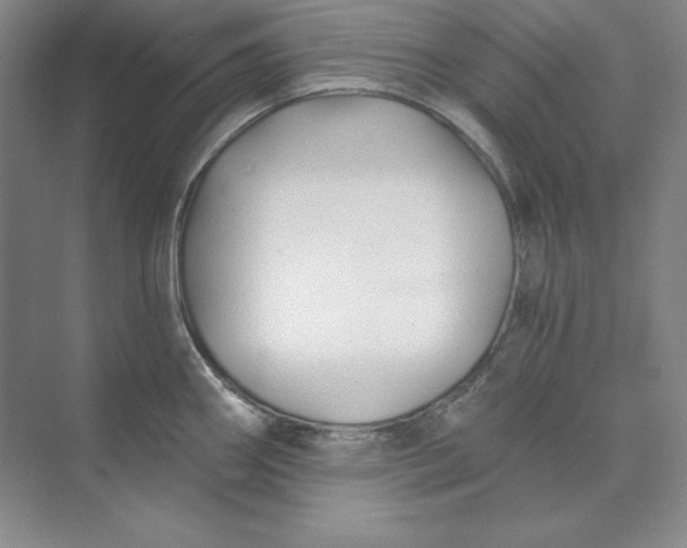 X0000074021290200609061106