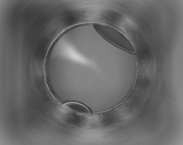 X0000074021291200609061106