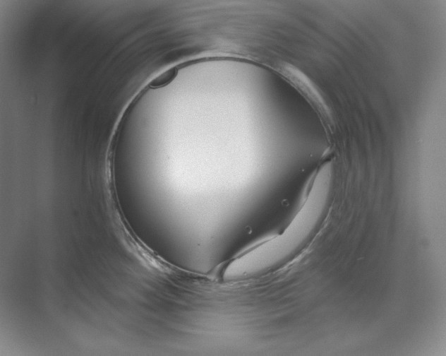 X0000074021292200609061106