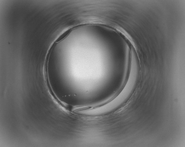X0000074021293200609061106
