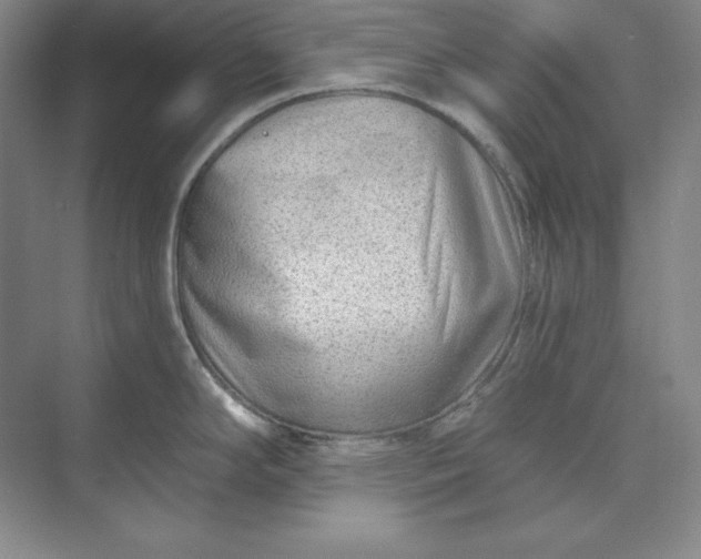 X0000074021294200609061106