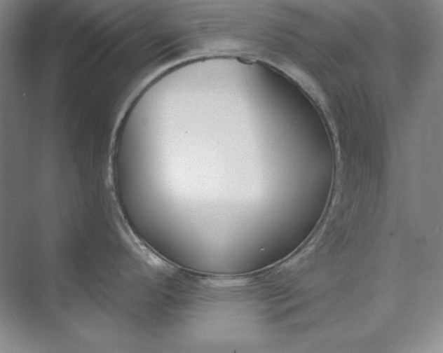 X0000074021296200609061106
